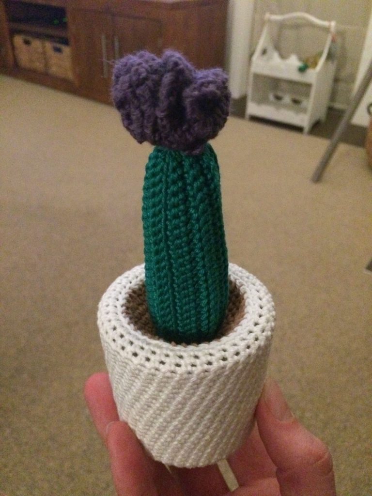cactus haken 24