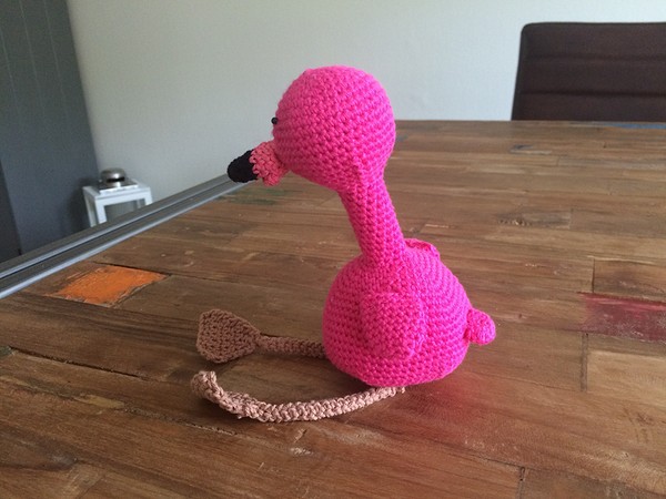flamingo haken 10