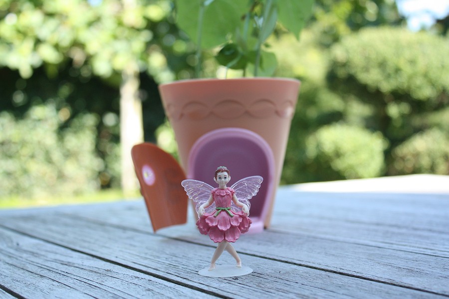 my-fairy-garden-flowerpot-18