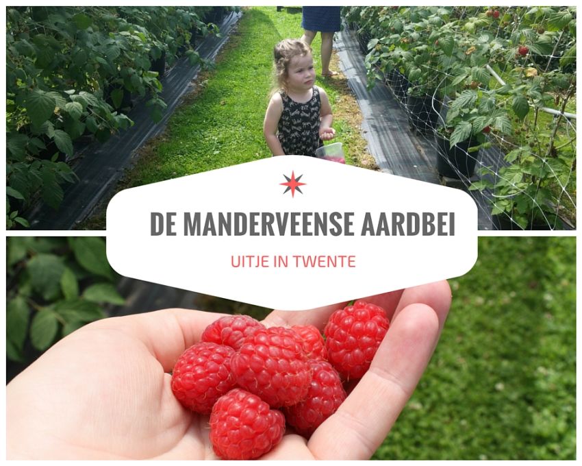 Dagje uit in Twente: de Manderveense aardbei!