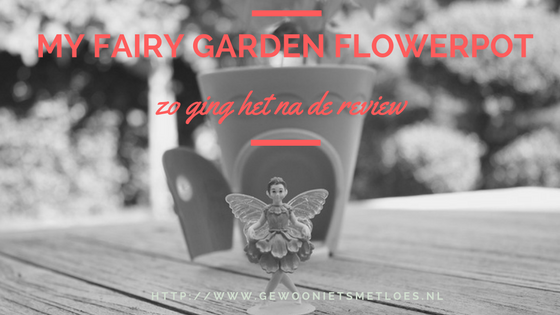 My Fairy Garden Flowerpot | Zo ging het na de review