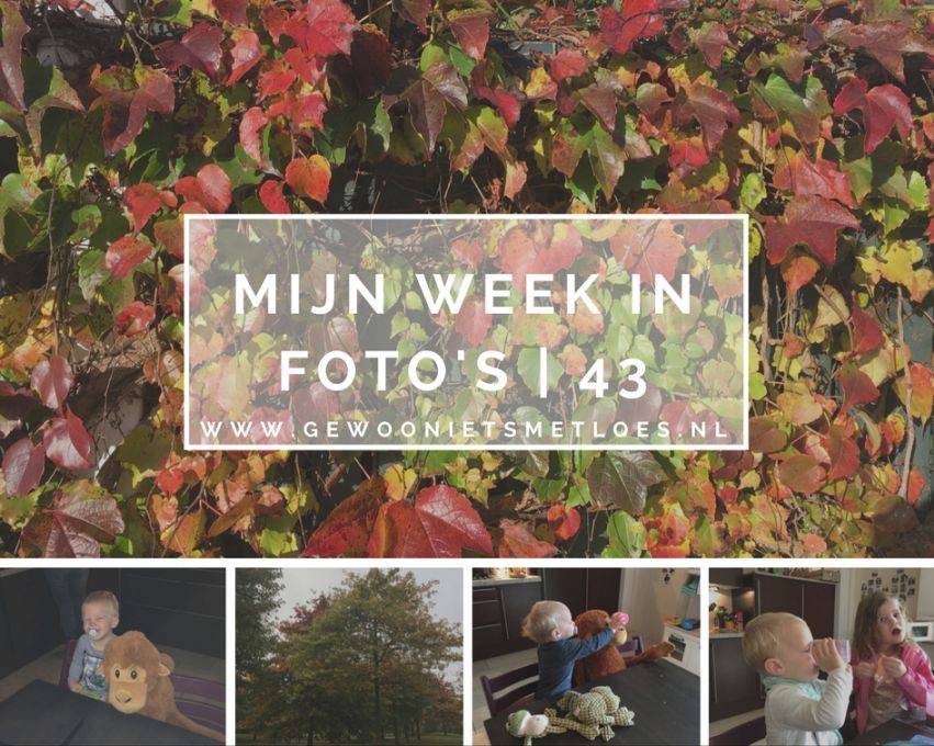 [:nl]Mijn week in foto’s | 43[:en]My week in photos | 43 [:]