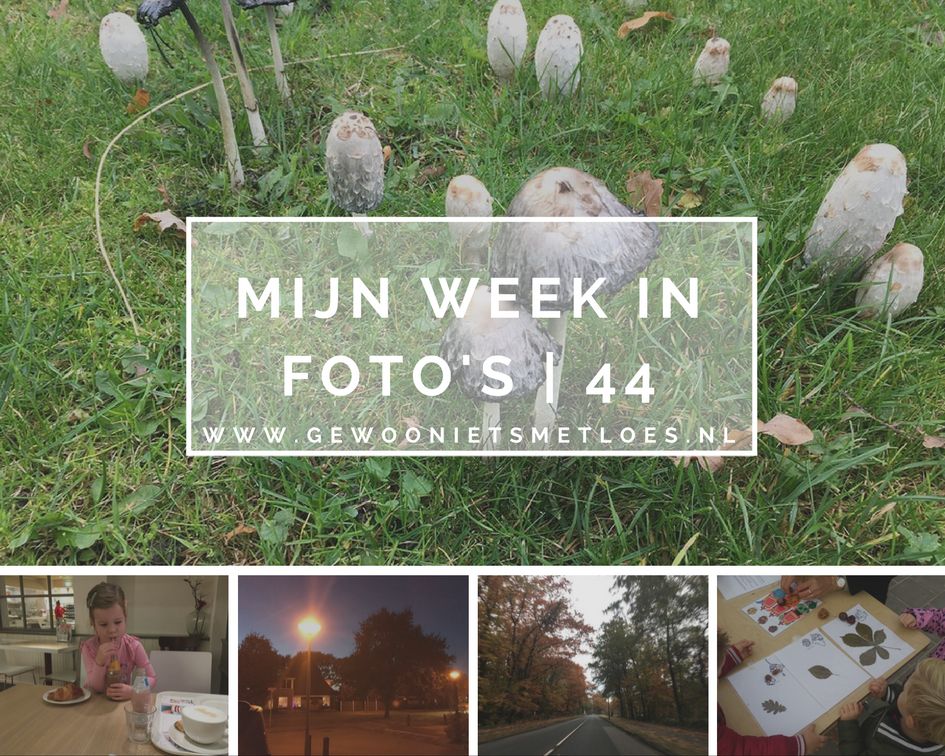 [:nl]Mijn week in foto’s | 44[:]
