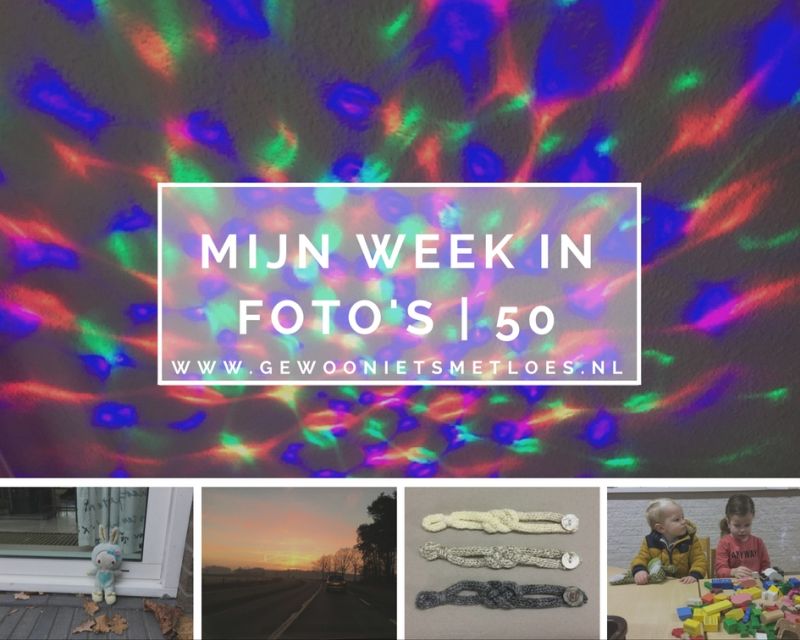 Mijn week in foto’s | week 50