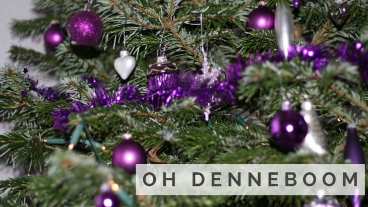 Oh Denneboom | Onze kerstboom